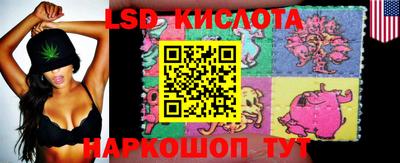 индика Уссурийск