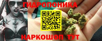 индика Уссурийск