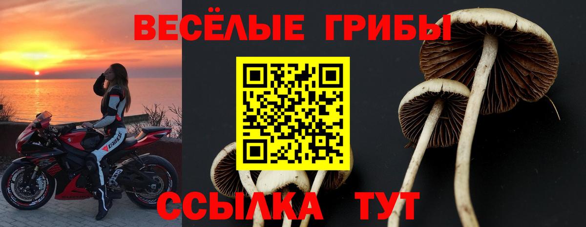Псилоцибиновые грибы прущие грибы  где купить наркоту  Вход с VPN  Сафоново  Псилоцибиновые грибы Cubensis 